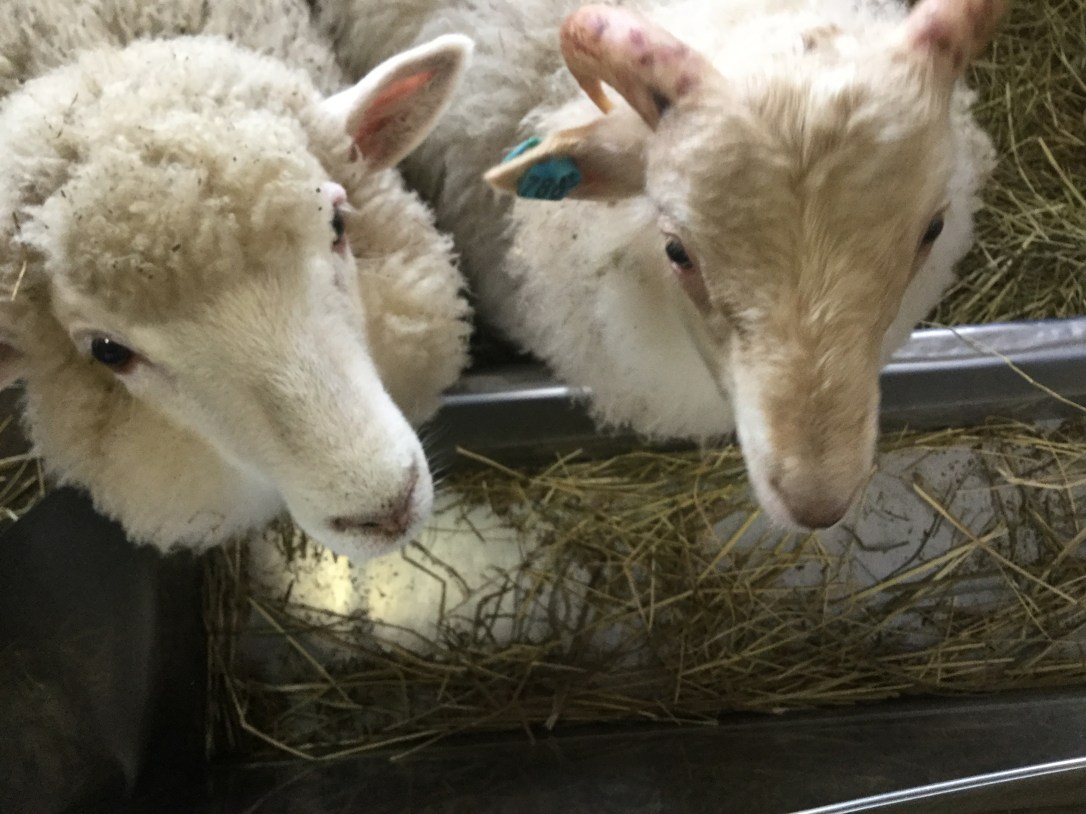 0EB6A28B-55F3-4412-90B0-7A54A0C4F9A0