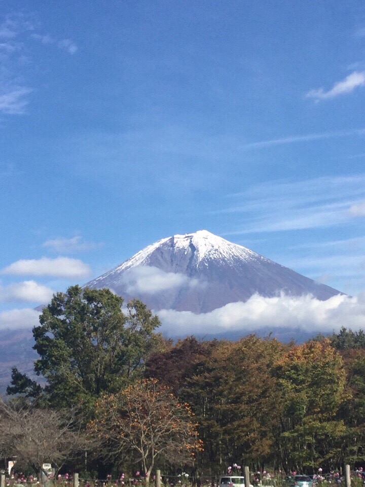 960753E8-3158-4B83-B686-84A0DC0BA464